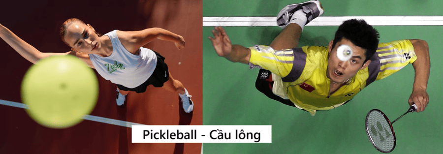 So sánh Pickleball và Cầu lông 4
